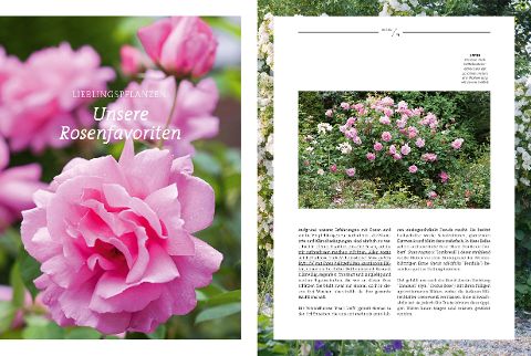 InsideView 4