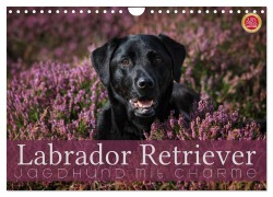 Cover-Bild zum Titel 'Labrador Retriever - Jagdhund mit Charme (Wandkalender 2026 DIN A4 quer), CALVENDO Monatskalender' von 'Martina Cross'