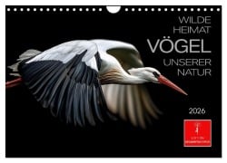 Cover-Bild zum Titel 'Wilde Heimat - Vögel unserer Natur (Wandkalender 2026 DIN A4 quer), CALVENDO Monatskalender' von 'Peter Roder'
