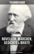 Cover-Bild zum Titel 'Theodor Storm: Novellen, Märchen, Gedichte & Briefe (Über 400 Titel in einem Band)' von 'Theodor Storm'