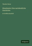 Cover-Bild zum Titel 'Hinzelmeier; Eine nachdenkliche Geschichte' von 'Theodor Storm'