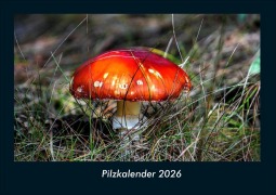 Cover-Bild zum Titel 'Pilzkalender 2026 Fotokalender DIN A4' von 'Kevin Heber, Tobias Schmitt'