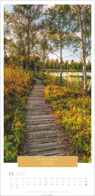 InsideView 11