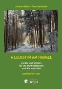 Cover-Bild zum Titel 'A Leuchtn am Himmel' von 'Johann Haider-Feuchtenhofer'