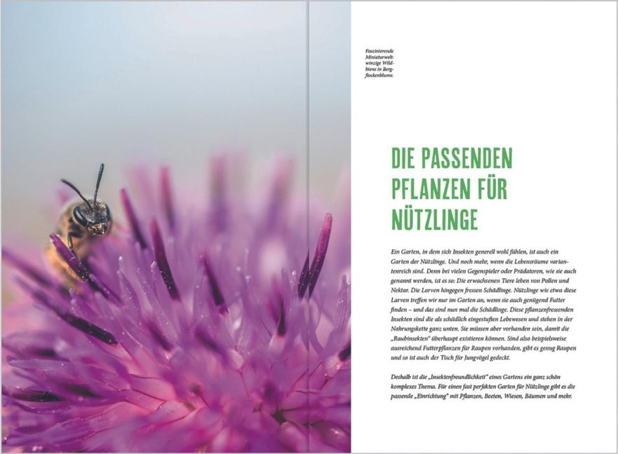 InsideView 10