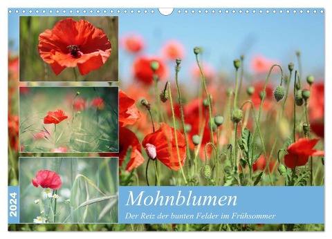 Mohnblumen (Wandkalender 2024 DIN A3 quer), CALVENDO Monatskalender - Thomas Deter