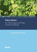 Fokus Baum - 