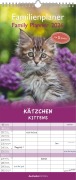 Kätzchen 2026 Familienplaner - Familienkalender - Wandkalender - 19,5x45 - 
