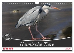 Heimische Tiere (Wandkalender 2026 DIN A4 quer), CALVENDO Monatskalender - SchnelleWelten SchnelleWelten