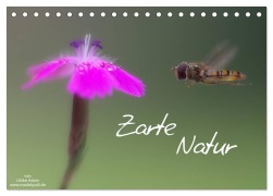 Zarte Natur 2026 (Tischkalender 2026 DIN A5 quer), CALVENDO Monatskalender - Ulrike Adam