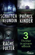 Cover-Bild zum Titel 'Schattenfreundin - Phönixkinder - Rachefolter' von 'Christine Drews'