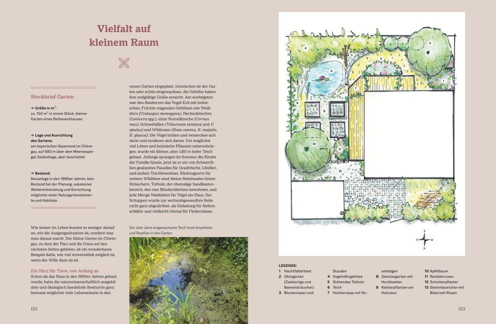 InsideView 6