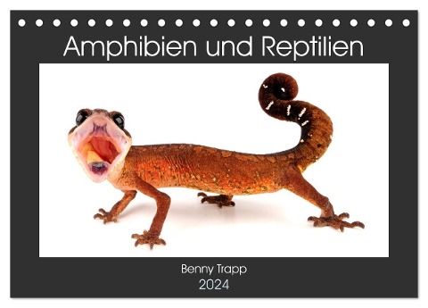 Amphibien und Reptilien (Tischkalender 2024 DIN A5 quer), CALVENDO Monatskalender - Benny Trapp