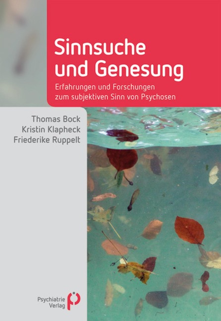 Sinnsuche und Genesung - Kristin Klapheck, Friederike Ruppelt, Thomas Bock