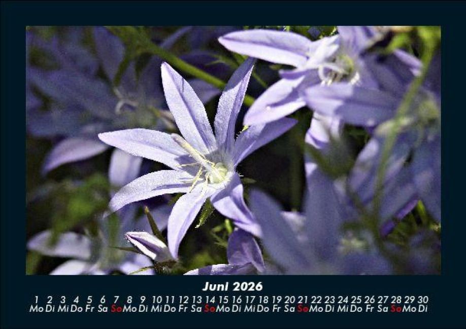 InsideView 10