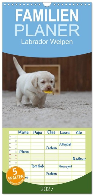Familienplaner 2027 - Labrador Welpen mit 5 Spalten (Wandkalender, 21 x 45 cm) CALVENDO - Heidi Bollich