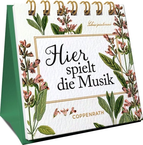 Hier spielt die Musik - 