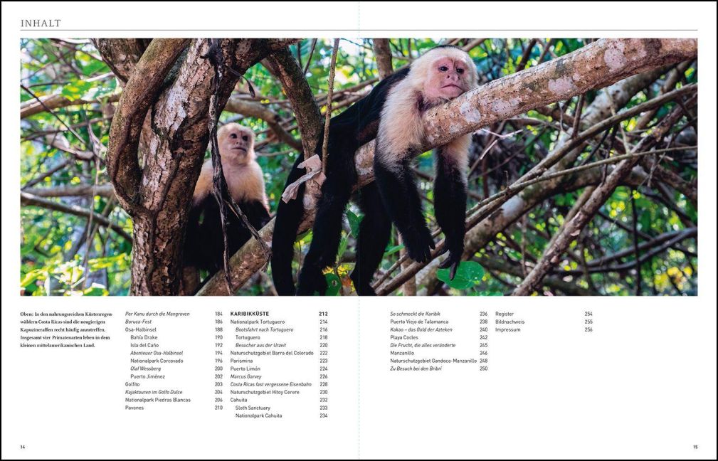 InsideView 10