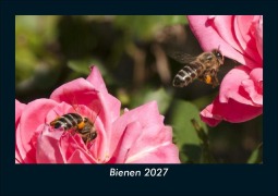Cover-Bild zum Titel 'Bienen 2027 Fotokalender DIN A5' von 'Tobias Schmitt, Kevin Heber'