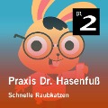 Praxis Dr. Hasenfuß: Schnelle Raubkatzen - Olga-Louise Dommel