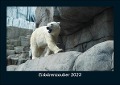 Eisbärenzauber 2023 Fotokalender DIN A5 - Tobias Becker