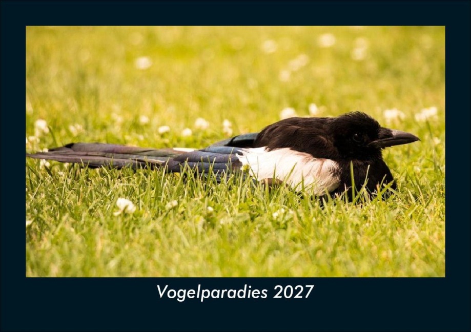 Vogelparadies 2027 Fotokalender DIN A5 - Tobias Schmitt, Kevin Heber