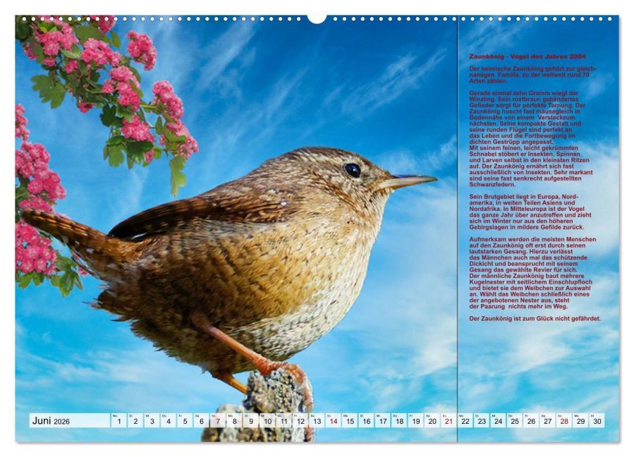 InsideView 10