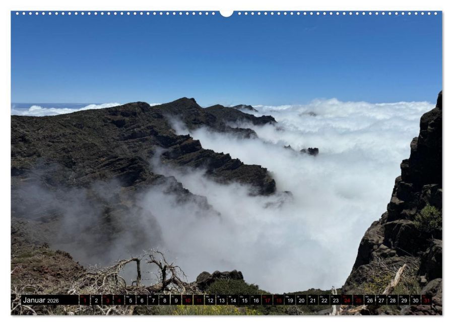 InsideView 5