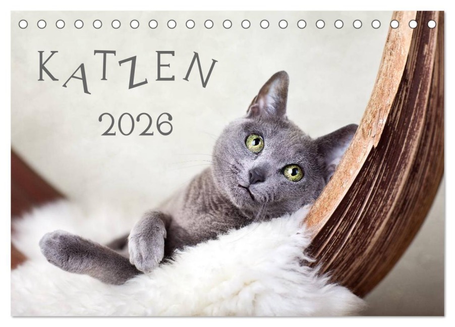 Katzen 2026 (Tischkalender 2026 DIN A5 quer), CALVENDO Monatskalender - Nailia Schwarz