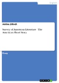 Survey of American Literature - The American Short Story - Amine Zidouh