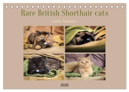 Cover-Bild zum Titel 'Rare British Shorthair cats (Desk Calendar 2026 DIN A5 landscape), CALVENDO 12 Month DeskCalendar' von 'Janina Bürger'