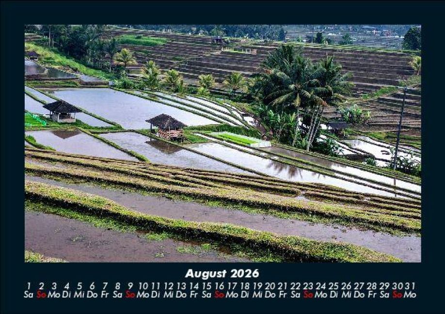 InsideView 12