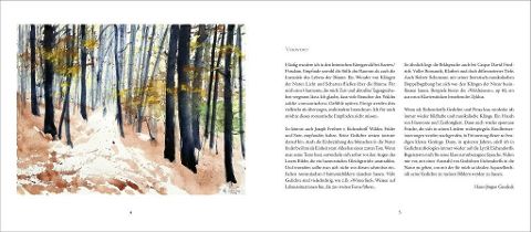 InsideView 1