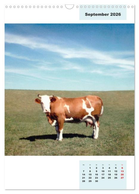 InsideView 14