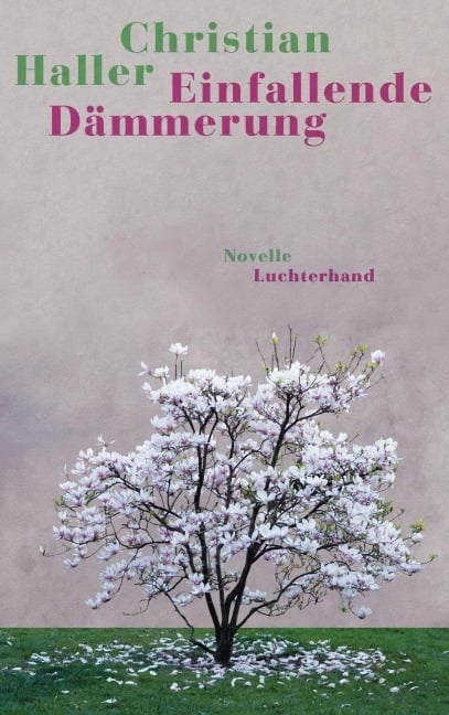 Einfallende Dämmerung - Christian Haller
