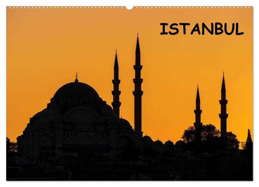 Istanbul (Wandkalender 2026 DIN A2 quer), CALVENDO Monatskalender - Rico Ködder