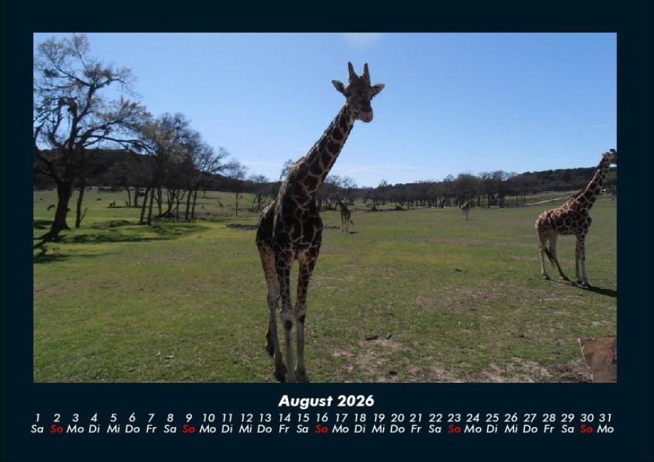 InsideView 12