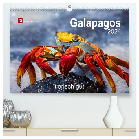 Galapagos 2024 tierisch gut (hochwertiger Premium Wandkalender 2024 DIN A2 quer), Kunstdruck in Hochglanz - Uwe Bergwitz