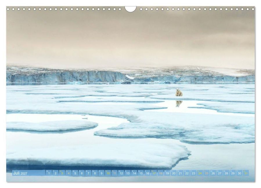 InsideView 12