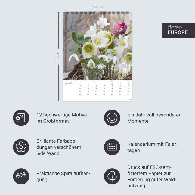 InsideView 13