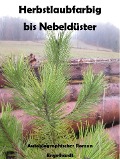 Herbstlaubfarbig bis Nebeldüster - Michael Andreas Engelhardt