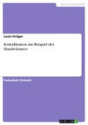 Cover-Bild zum Titel 'Kristallisation am Beispiel des Handwärmers' von 'Louis Dräger'