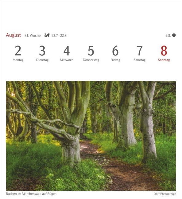 InsideView 12