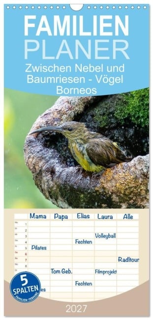 Familienplaner 2027 - Zwischen Nebel und Baumriesen - Vögel Borneos mit 5 Spalten (Wandkalender, 21 x 45 cm) CALVENDO - Heike Newinger
