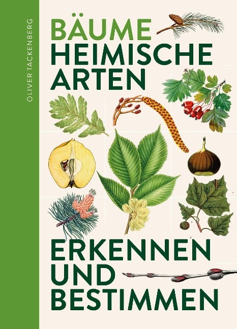 Bäume - Oliver Tackenberg