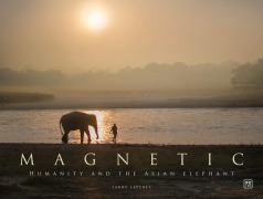 Cover-Bild zum Titel 'Magnetic' von 'Larry Laverty'