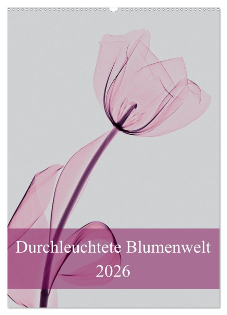 Durchleuchtete Blumenwelt 2026 (Wandkalender 2026 DIN A2 hoch), CALVENDO Monatskalender - Aleksandar Reba