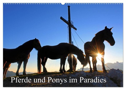 Pferde und Ponys im Paradies (Wandkalender 2024 DIN A2 quer), CALVENDO Monatskalender - Christa Kramer