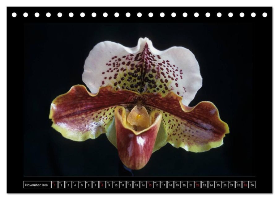 InsideView 3