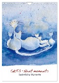 CATS - silent moments, besinnliche Momente (Wandkalender 2024 DIN A4 hoch), CALVENDO Monatskalender - Sabine Floner